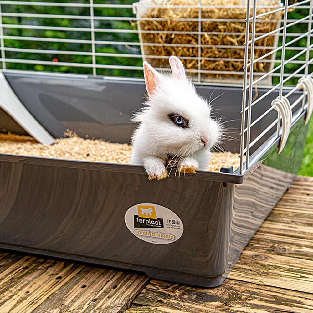 Rabbit 100 cage hotsell